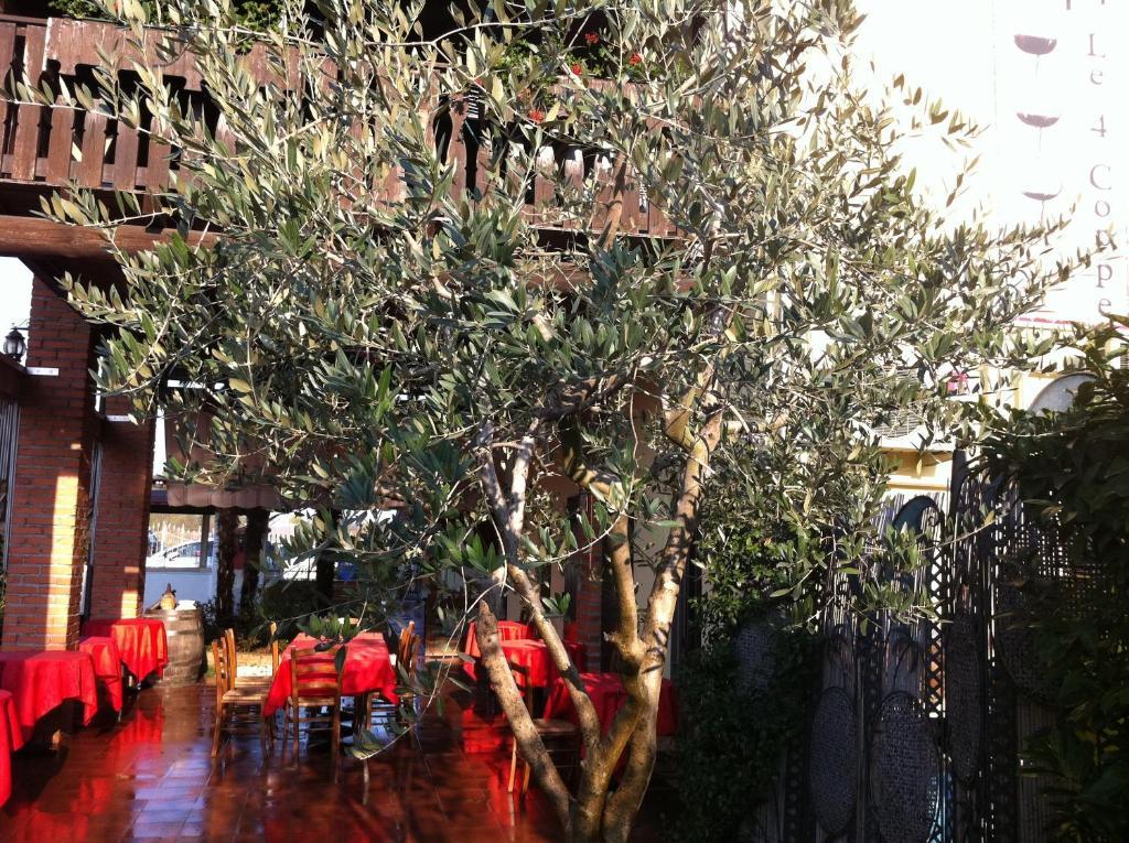 Manuela Le Quattro Coppe Hotel Desenzano del Garda Exterior photo
